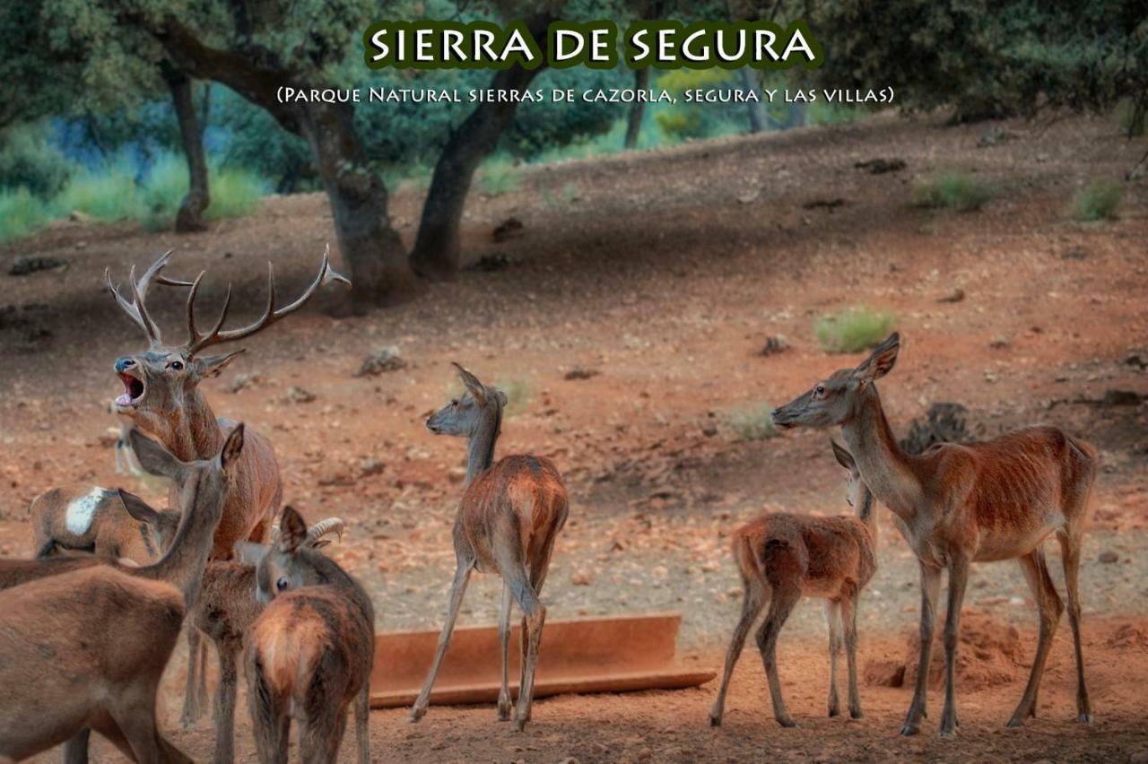 בית הארחה La Puerta de Segura 	La Vieja Parra מראה חיצוני תמונה